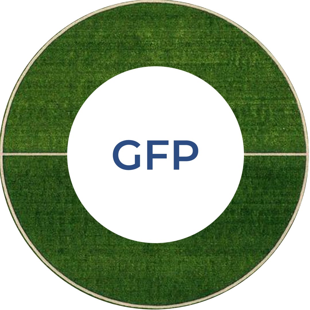 Global Football Platform (GFP) – SportsTech Platform for Football Professionals